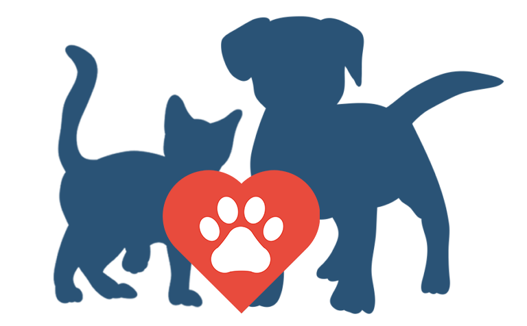 Services Graphic Puppy Kitten Services Graphic Puppy Kitten
