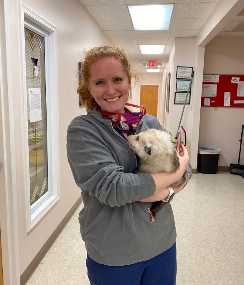 Photo Gallery Animal Emergency Center