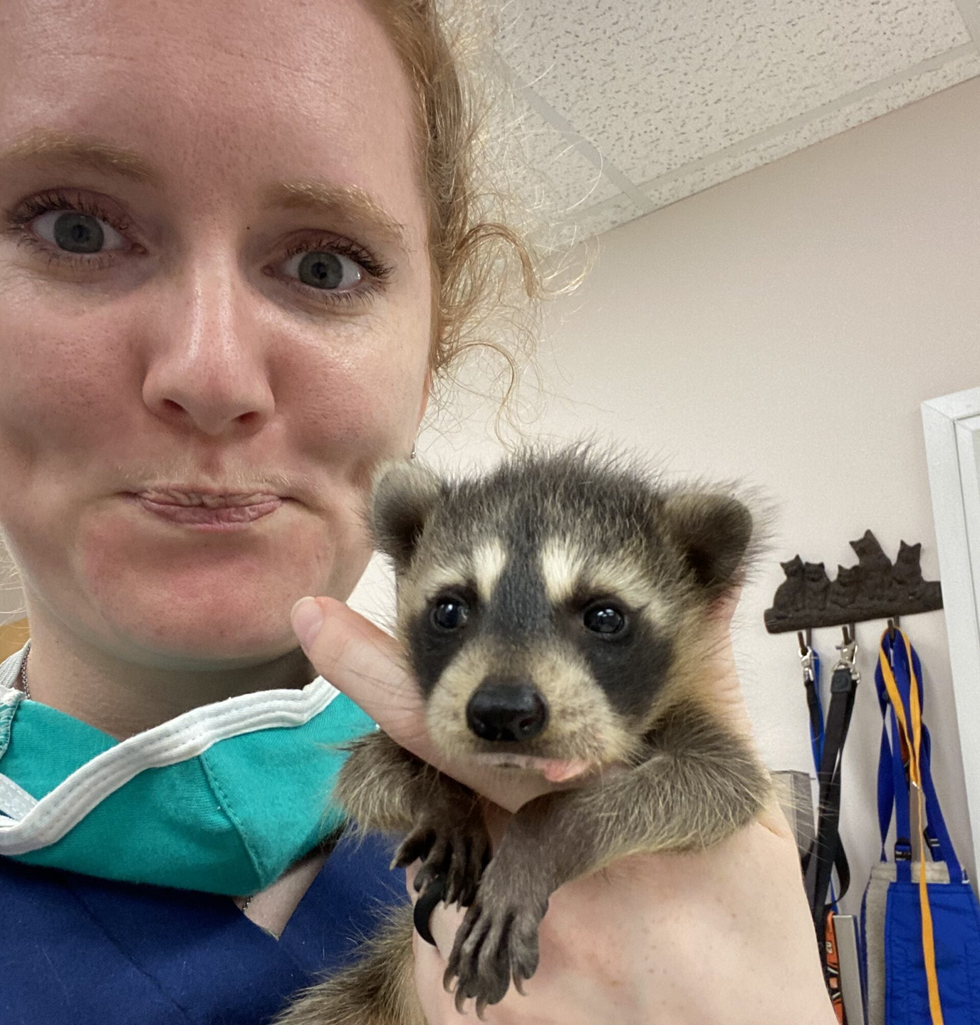 Photo Gallery Animal Emergency Center