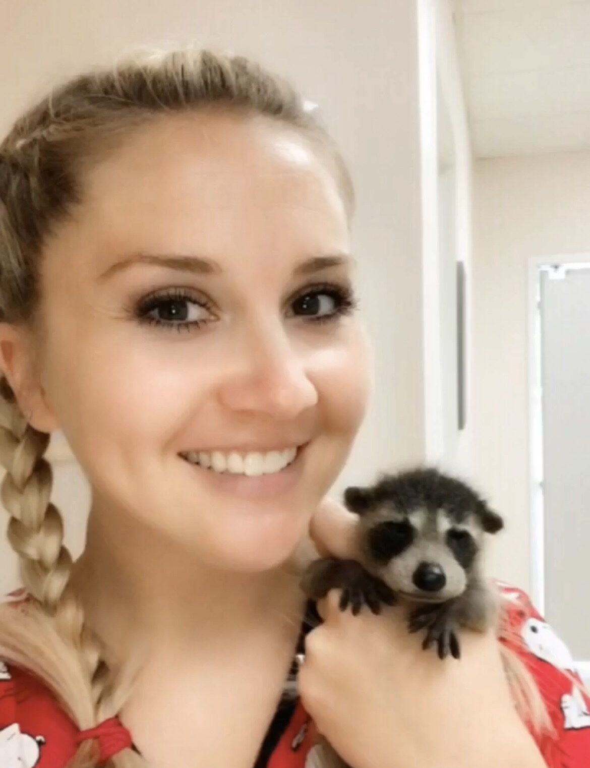 Photo gallery animal emergency center